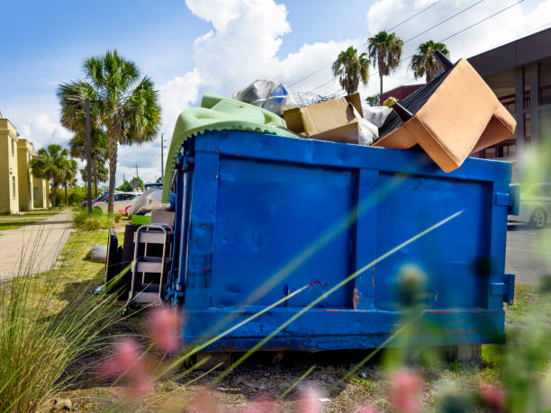 Best Shed Removal  in Temperance, MI